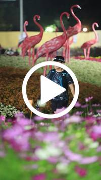 BIB:  <button type="button" onclick="openModal(27590022)" class="btn btn-primary btn-sm float-right" data-toggle="modal" data-target=".modal-high-quality">
                <i class="fa fa-download"></i> Download
                </button>